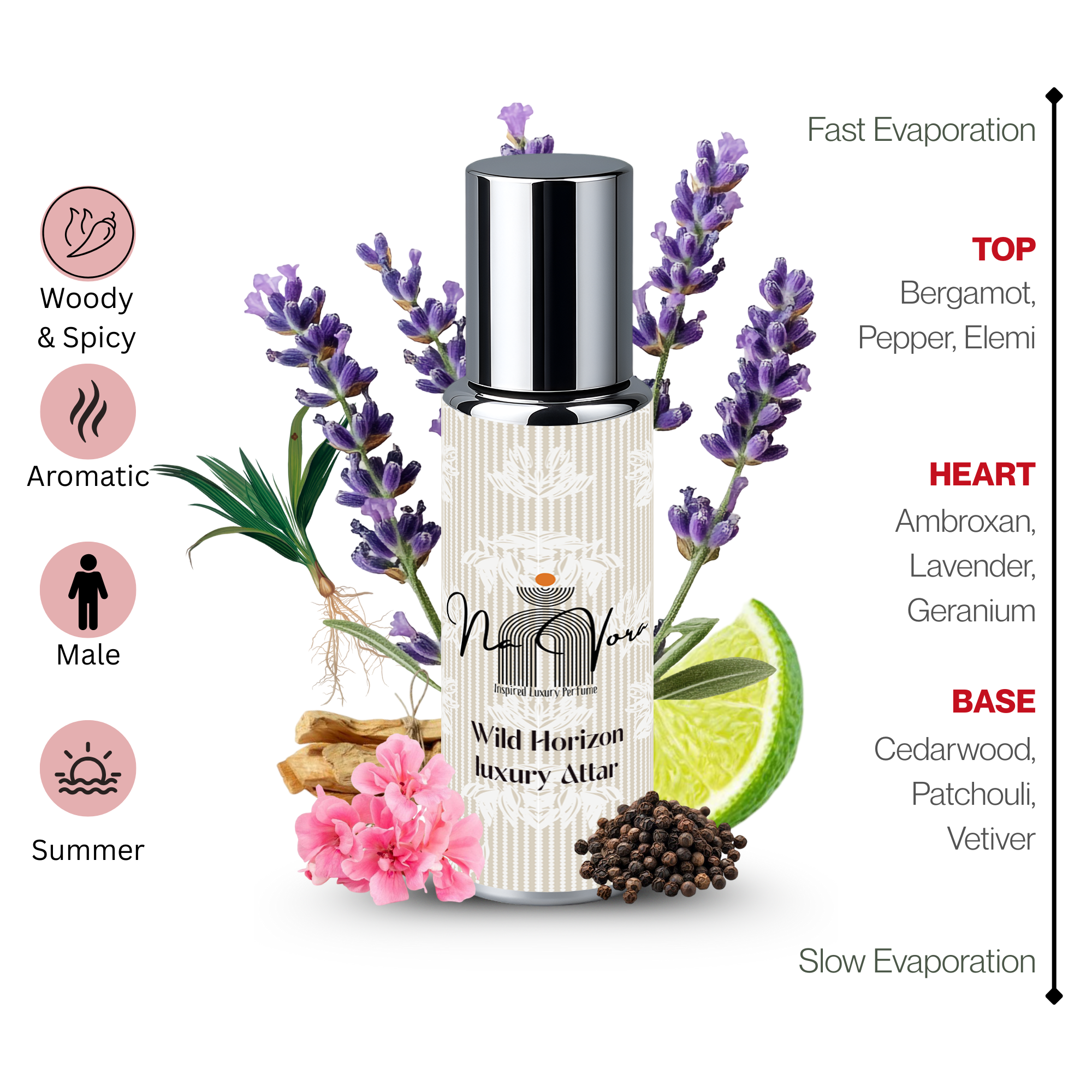 Navora Wild Horizon Perfume for Men (6ML)