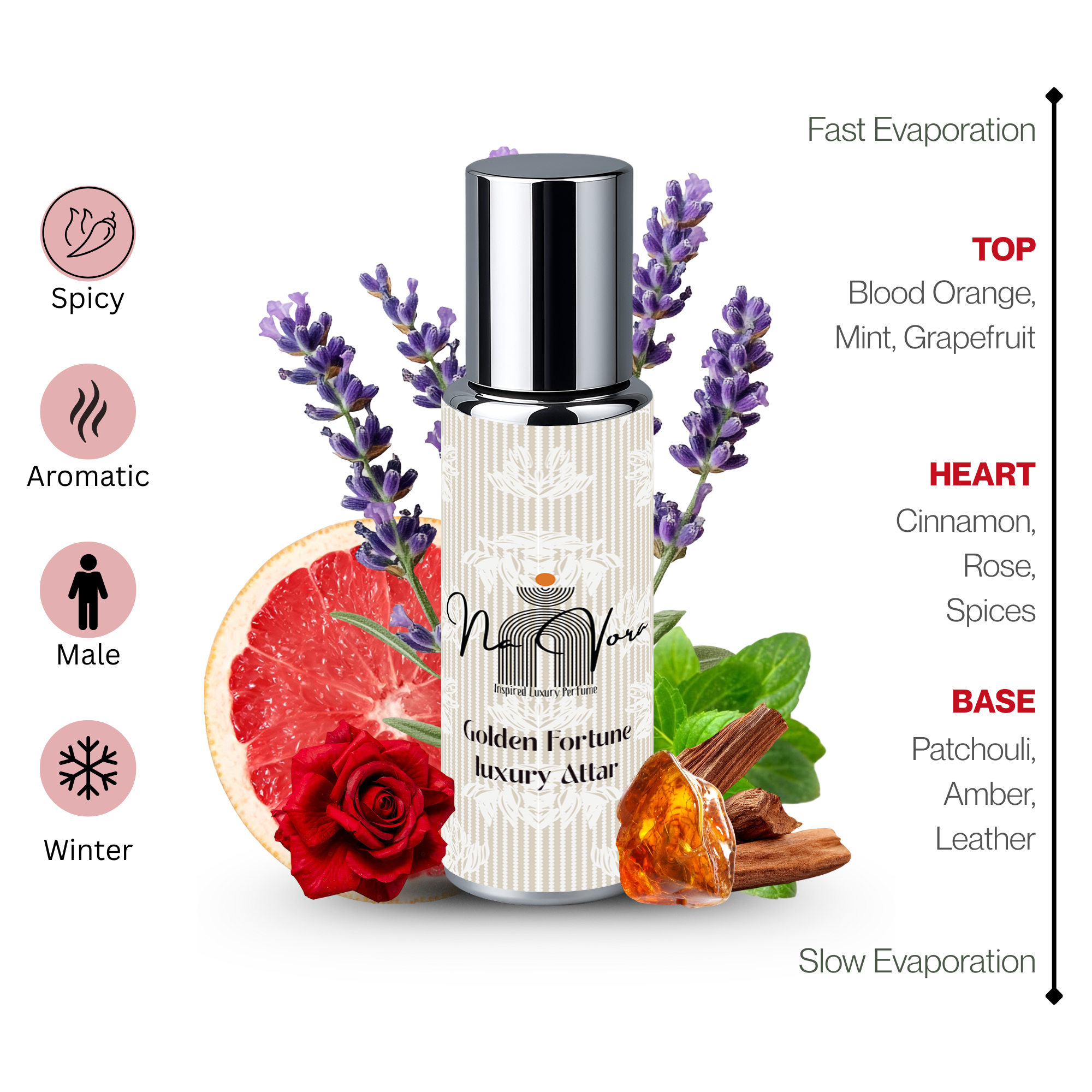 Navora Golden Fortune Perfume for Men (6ML)