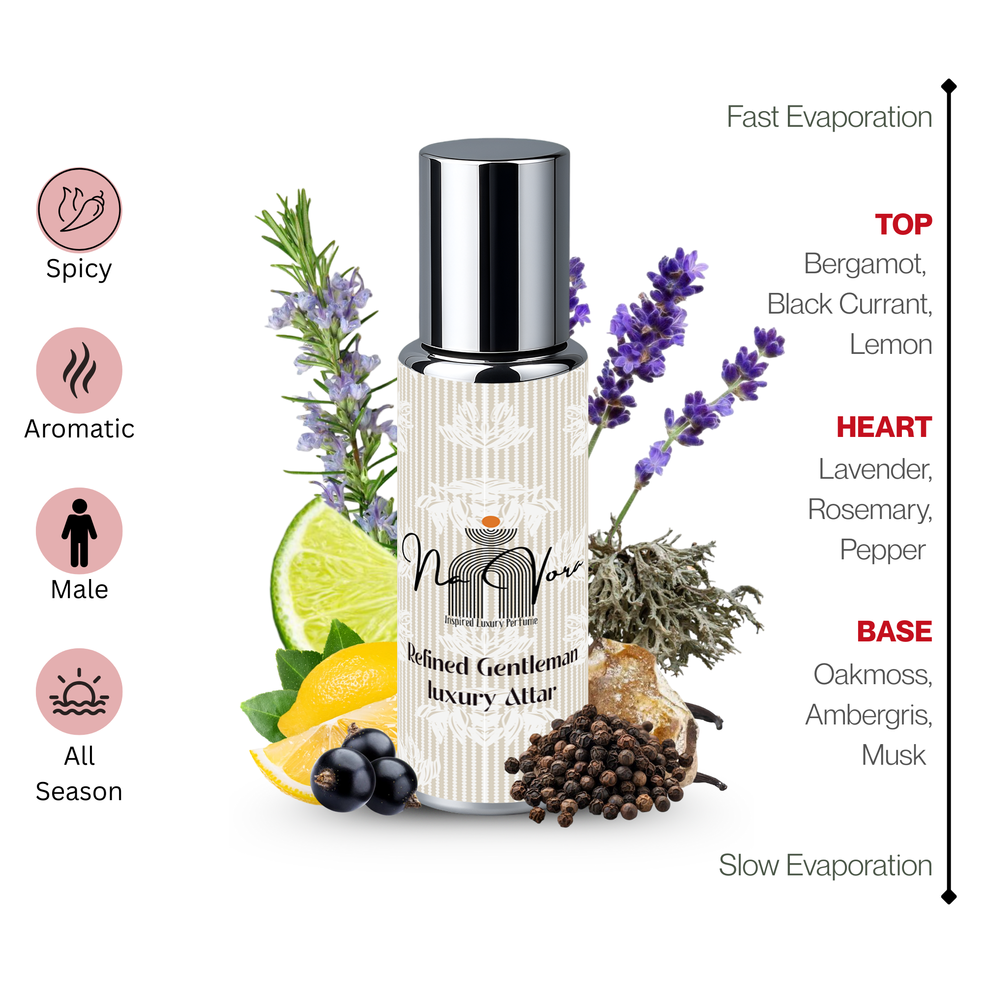 Navora Refined Gentleman Perfume for Men (6ML)