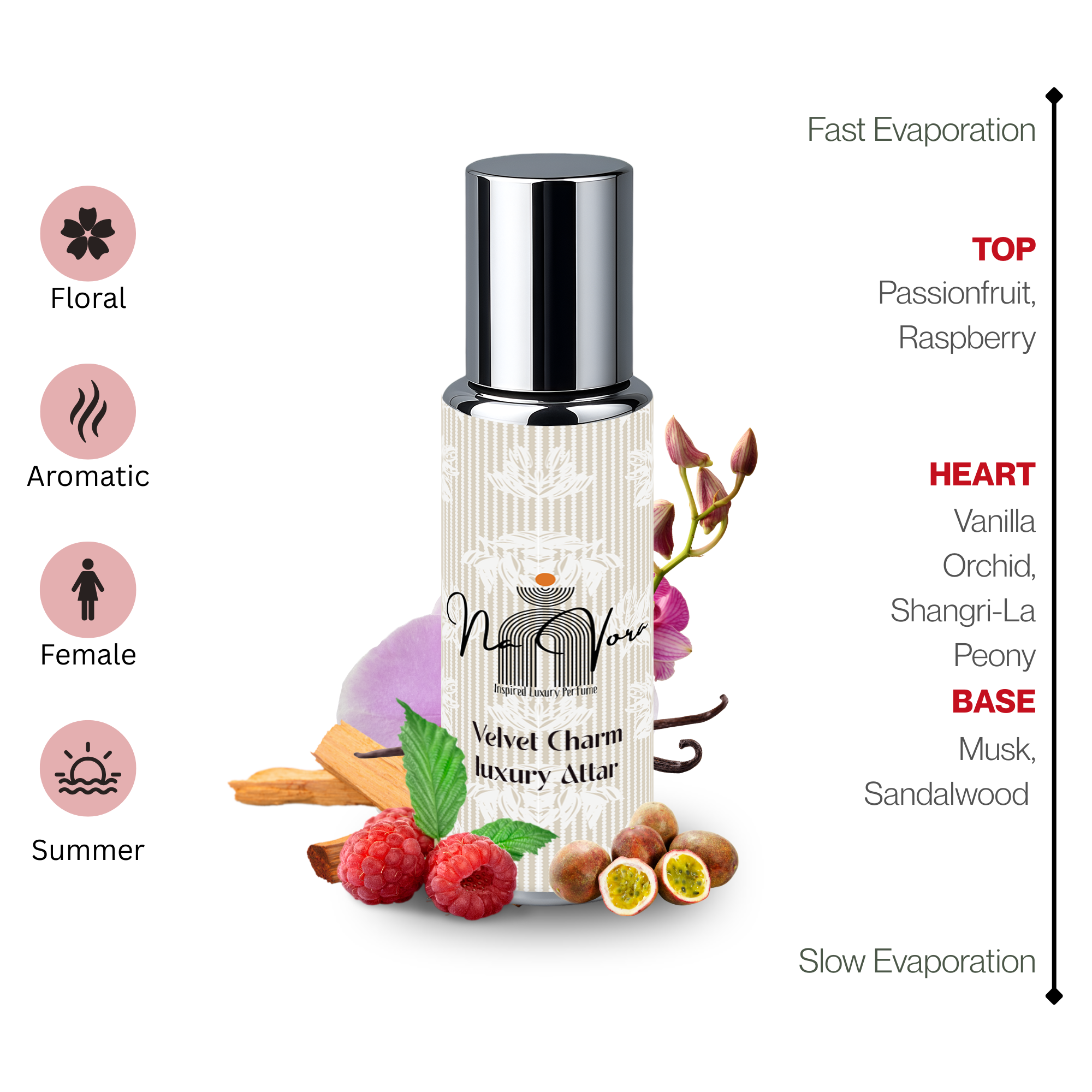 Navora Velvet Charm Perfume for Women (6ML)