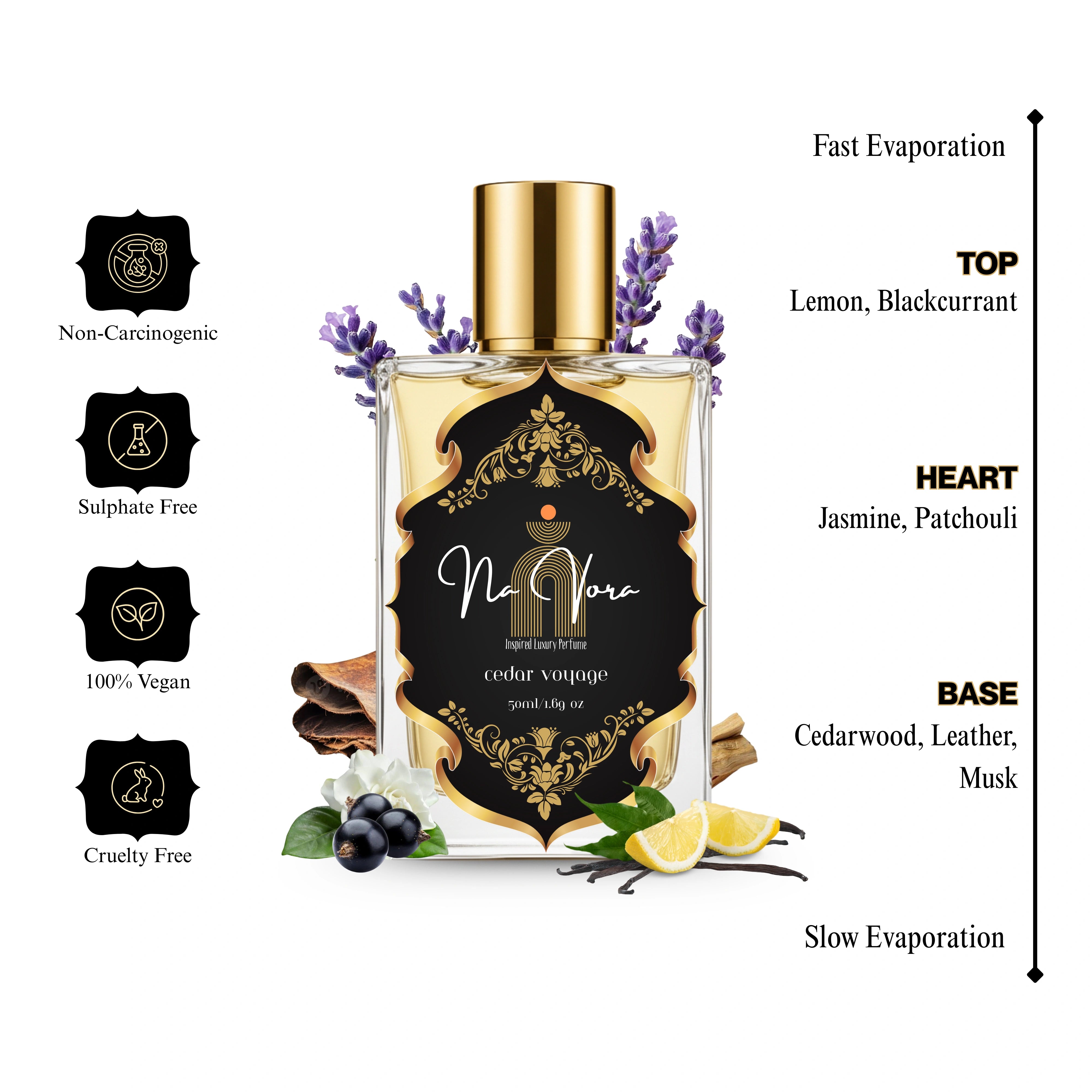 Cedar Voyage - 50ml