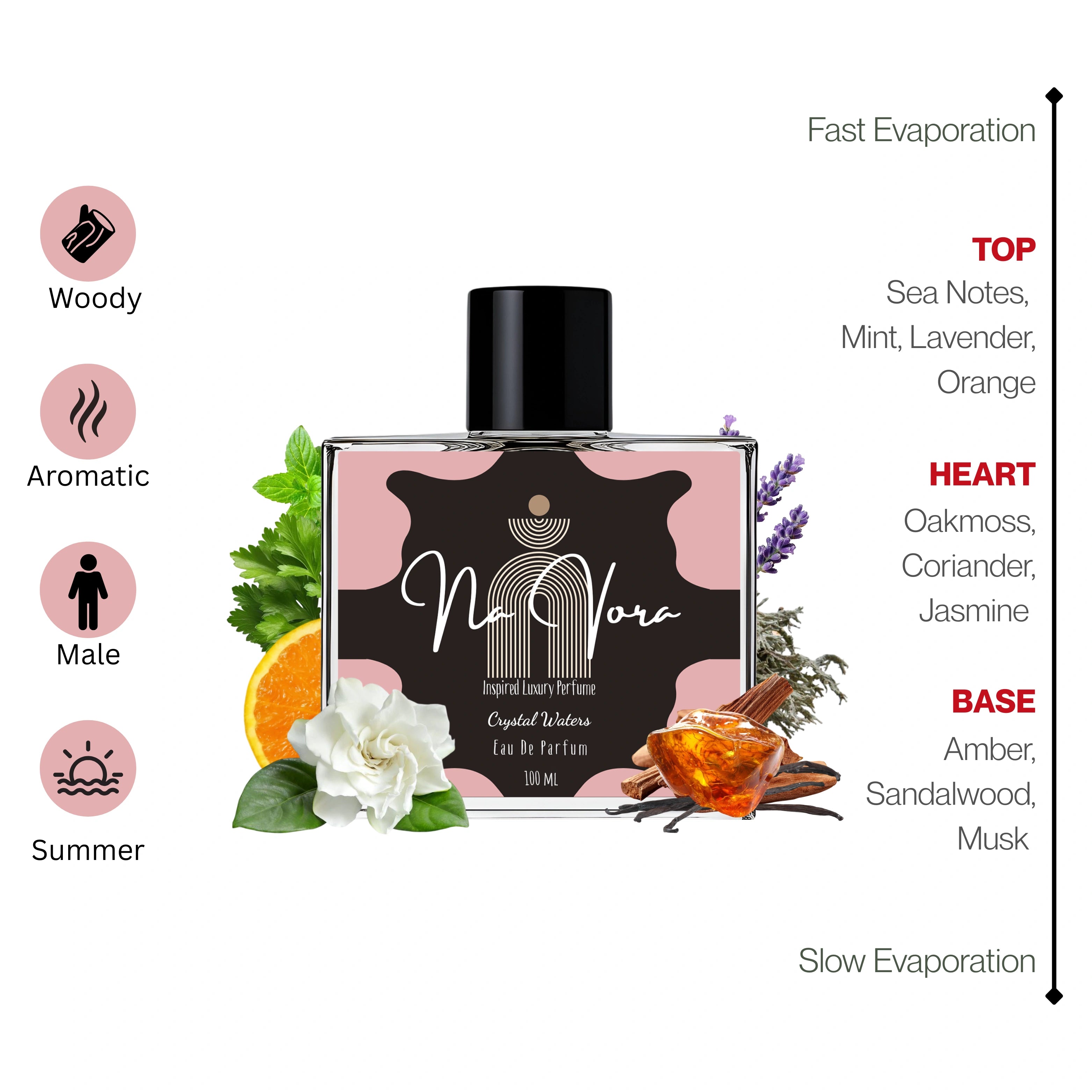 Navora Crystal Waters Perfume for Men