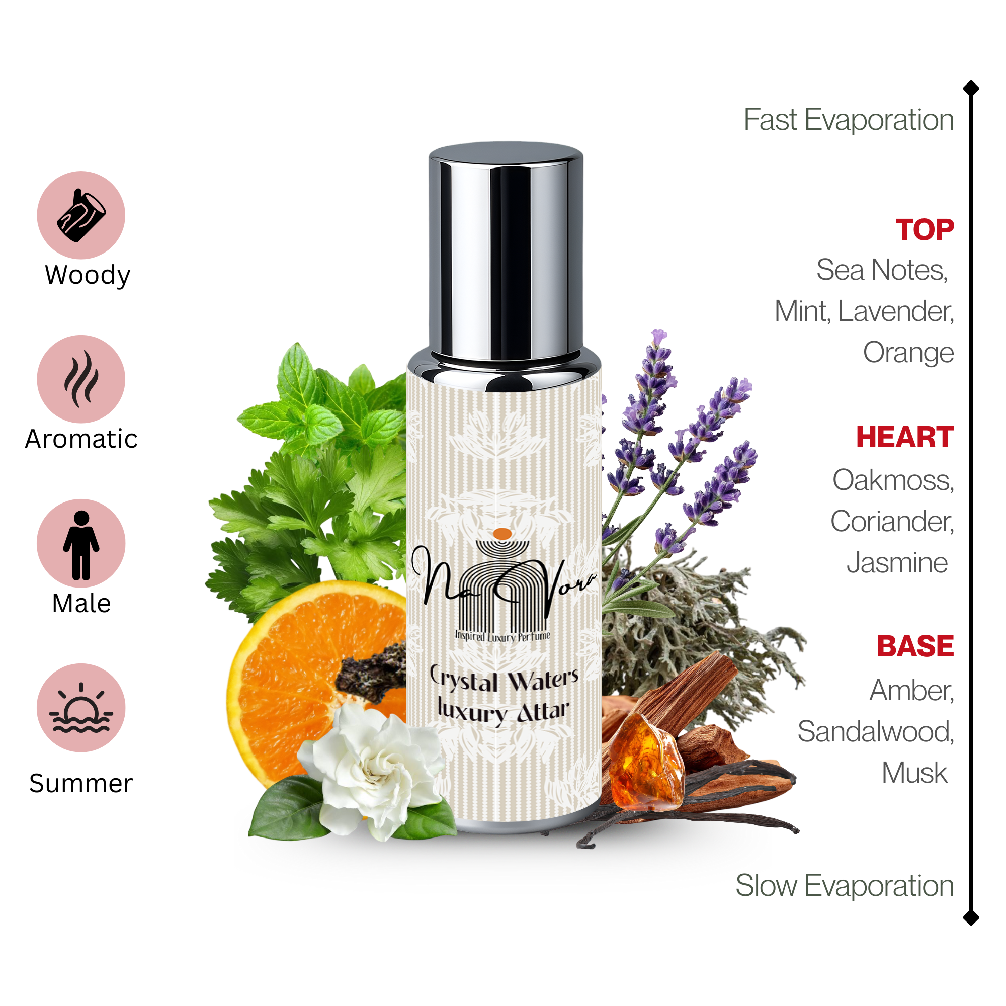 Clean Energizing Men’s Fragrance Navora Crystal Waters Perfume Bottle