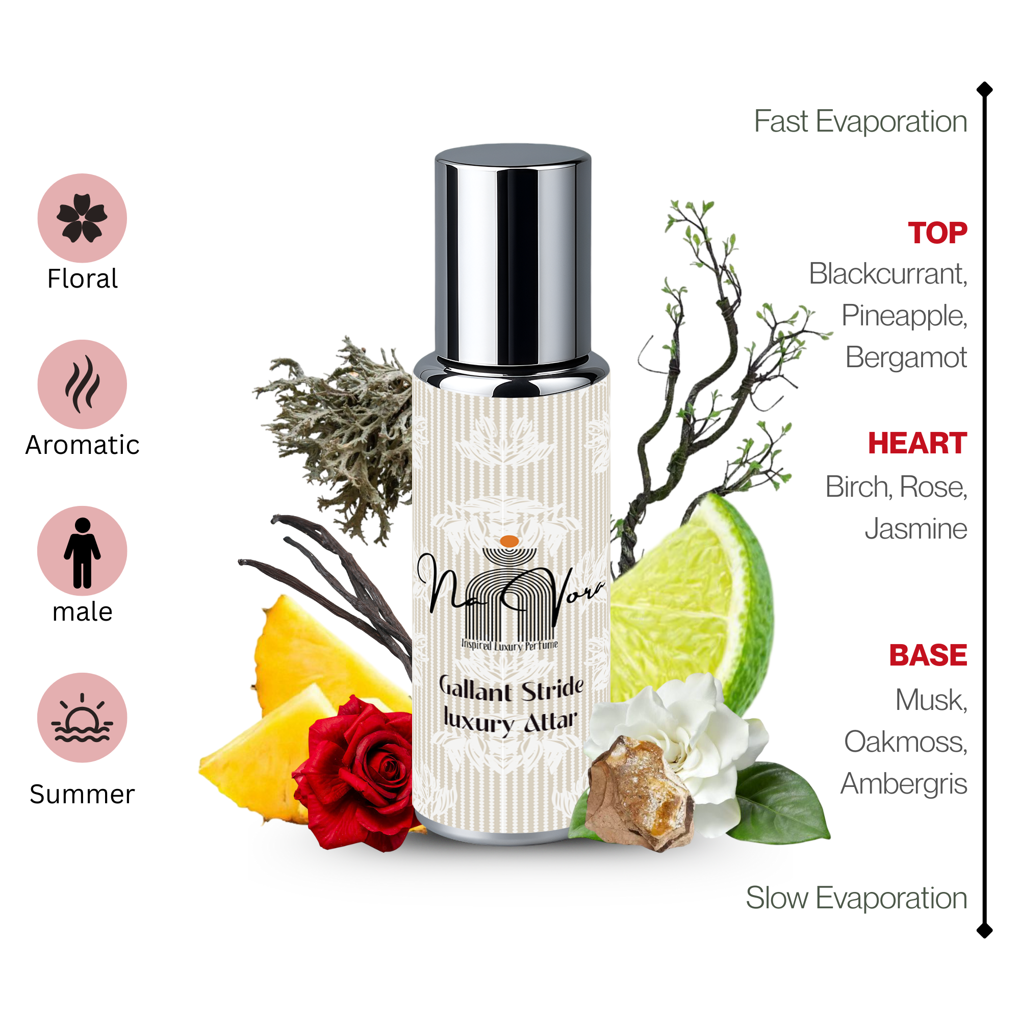 Navora Gallant Stride Alcohol-Free Roll-On Perfume for Men Travel Perfume