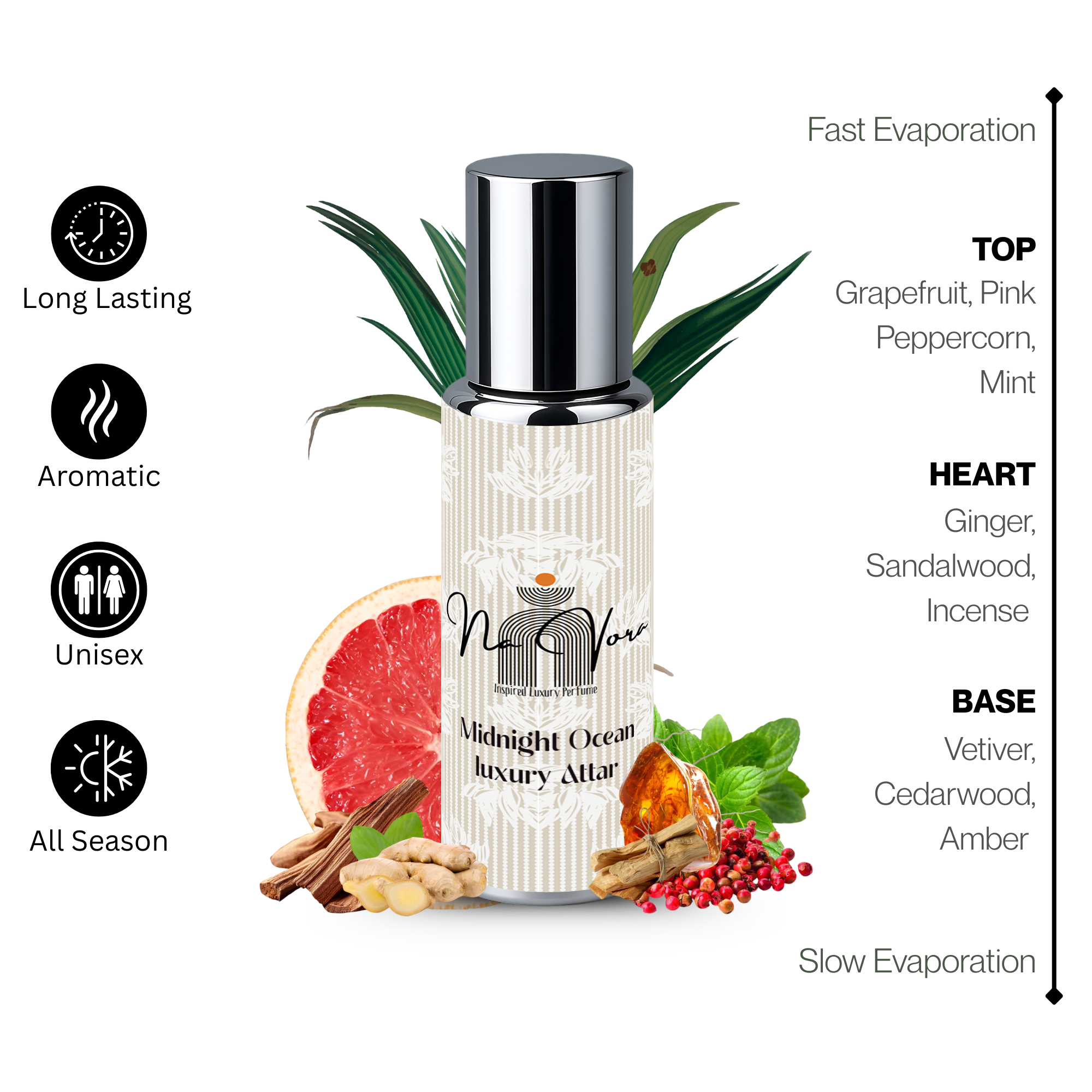 Crisp Marine Citrus Fragrance Navora Midnight Ocean Perfume Bottle