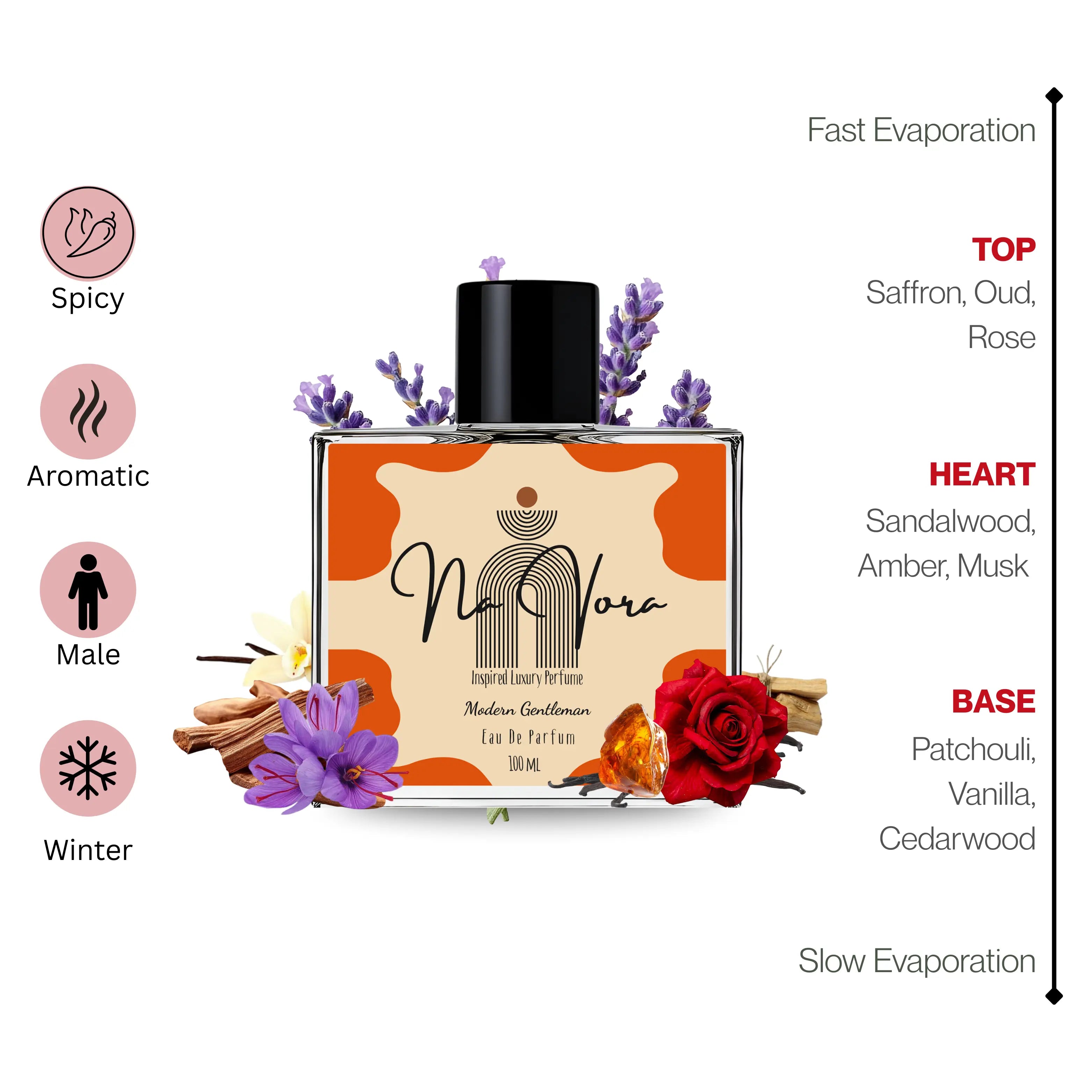 Navora Modern Gentleman Perfume for Men