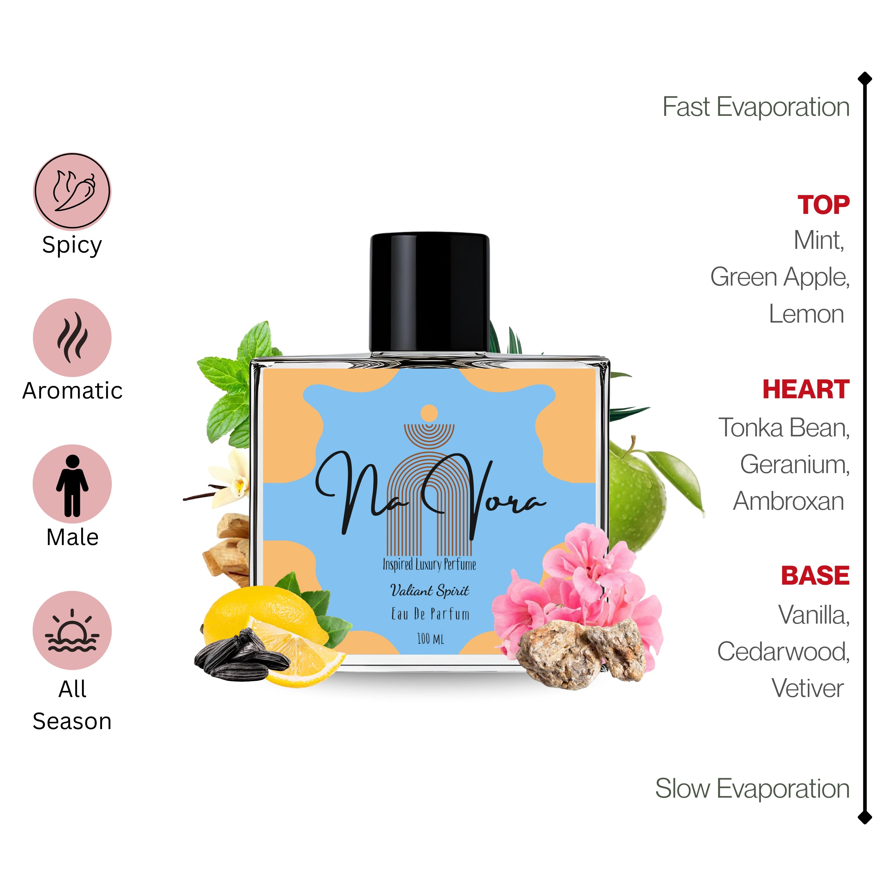 Navora Valiant Spirit Perfume for Men