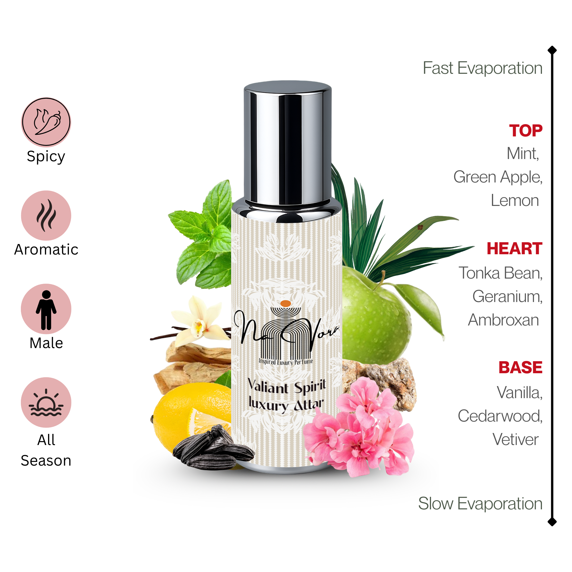 Long-Lasting Men’s Roll-On Perfume Navora Valiant Spirit 12ml